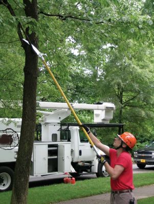 Image showing  13 in. Pole Saw Head Kit with Scabbard