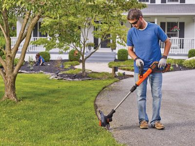 Image showing 6 th Black & Decker 12 in. 20V Max Straight Shaft Cordless String Trimmer/Edger, Battery and Charger Included