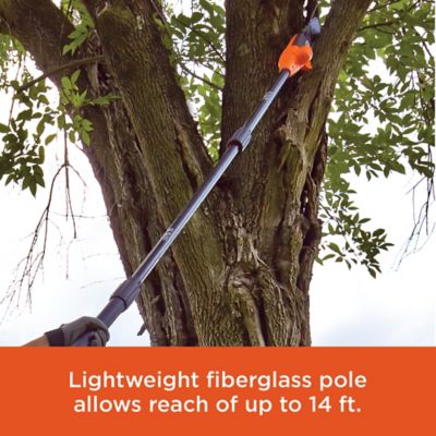 Image showing  8 in. 20V MAX Cordless Pole Saw Kit, Battery and Charger Included