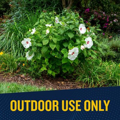 Image showing 8 th Garden Tech Over'n Out Advanced Fire Ant Killer Granules, 11 lb.