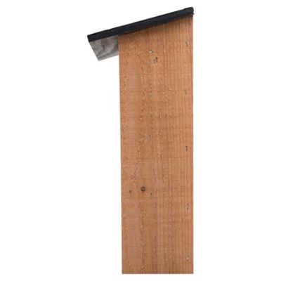 Image showing  Cedar 50-Bat House with Mount