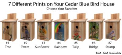 Image showing  Cedar Bluebird House with Decorative Bridge Design, 7.5 in. x 7.5 in. x 14 in.