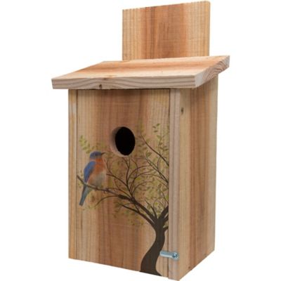 S&K Cedar Bluebird House with Decorative Bird in Tree Design Birds will love it