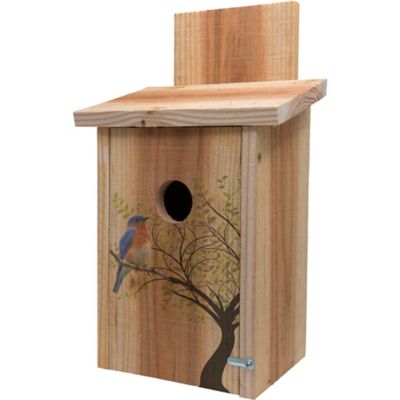 Tractor supply bird store houses