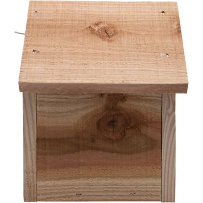 Image showing  Cedar Wren Bird House, 7 in. x 8 in. x 9 in.