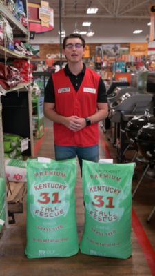 Image showing  50 lb. 6,250 sq. ft. Kentucky-31 Tall Fescue Grass Seed Mix-Coated