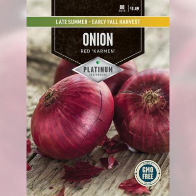 DeGroot Onion Red Karmen
