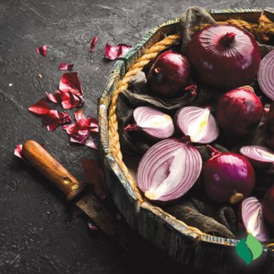 Image showing  Onion Red Karmen Vegetable Plants, 80 pc.