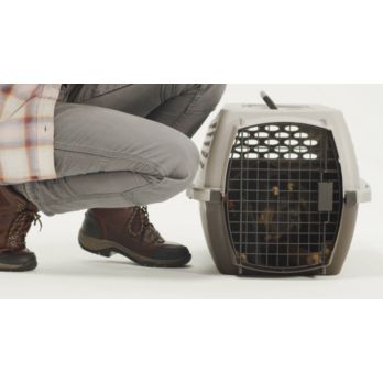 Retriever 1 Door Plastic Portable Pet Carrier, Gray