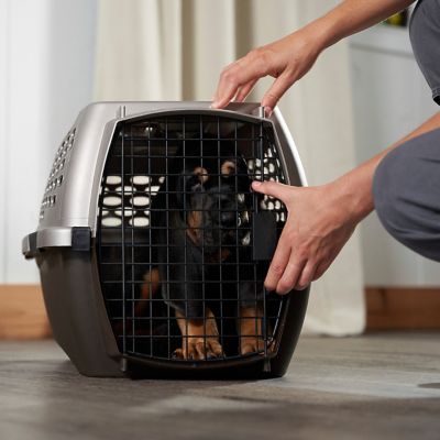 Image showing  1-Door Plastic Portable Pet Carrier