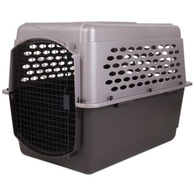 Image showing 6 th Retriever 1-Door Plastic Portable Pet Carrier
