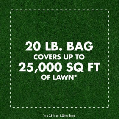 Image showing  20 lb. Triazicide Insect Killer for Lawns Granules