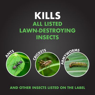 Image showing  20 lb. Triazicide Insect Killer for Lawns Granules