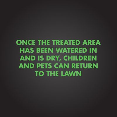 Image showing 7 th Spectracide 20 lb. Triazicide Insect Killer for Lawns Granules