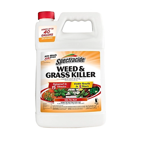 Spectracide 1 gal. Weed and Grass Killer Concentrate