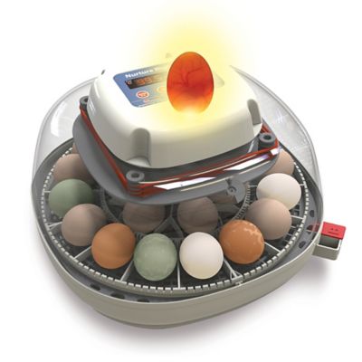 Image showing  22-Egg Capacity Nurture Right 360 Egg Incubator