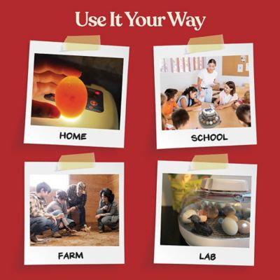 Image showing  22-Egg Capacity Nurture Right 360 Egg Incubator