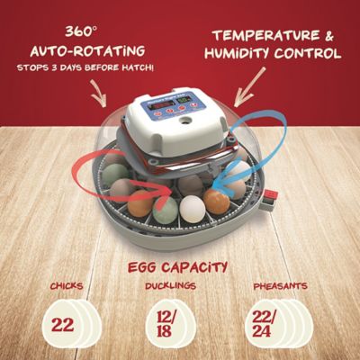 Image showing 5 th Harris Farms 22-Egg Capacity Nurture Right 360 Egg Incubator