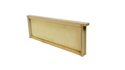 Harvest Lane Honey Medium Beehive Frames Assembled with Medium Plastic Foundation, 5 ct.