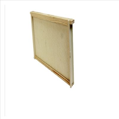 Image showing  Medium Beehive Frames Assembled with Medium Plastic Foundation, 5 ct.