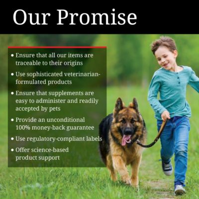 Image showing  Extra Strength Soft Chewable Hip and Joint Supplement for Dogs, Chicken and Cheese Flavor, 4.2 oz., 60 ct.