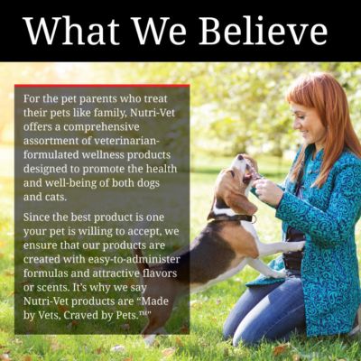 Image showing 5 th Nutri-Vet Extra Strength Soft Chewable Hip and Joint Supplement for Dogs, Chicken and Cheese Flavor, 4.2 oz., 60 ct.