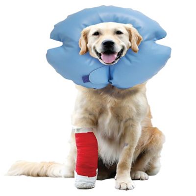 Tractor supply dog clearance cone