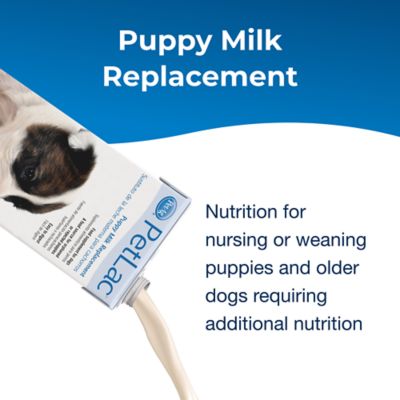Image showing  PetLac Puppy Milk Replacement Liquid, 32 oz.