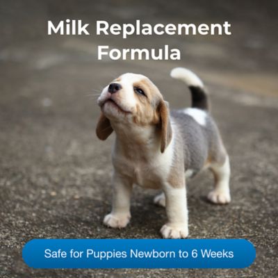 Image showing  PetLac Puppy Milk Replacement Liquid, 32 oz.