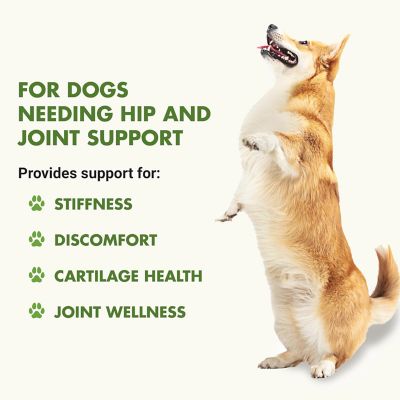 Image showing  K9 Hip and Joint Support Supplement for Dogs, Pot Roast Flavor, 32 oz.