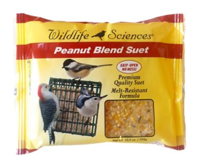 Wildlife Sciences Peanut Blend No-Melt Suet Cakes