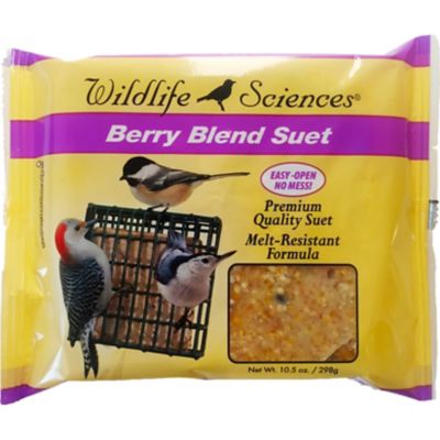 Wildlife Sciences Berry Blend No-Melt Suet Cakes Birds