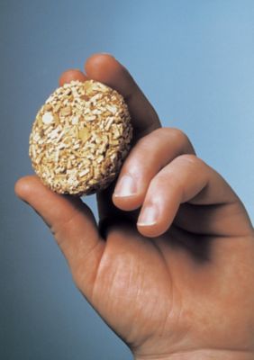 Image showing  Alder Flavor Bisquettes, 1.6 lb., 48-Pack