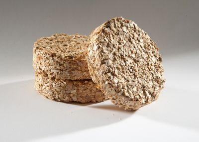 Image showing  Apple Flavor Bisquettes, 1.6 lb., 48-Pack