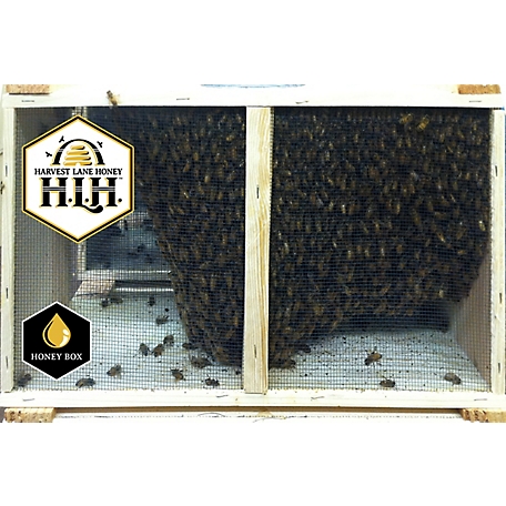 Harvest Lane Honey Live Italian Honey Bees, 3 lb.
