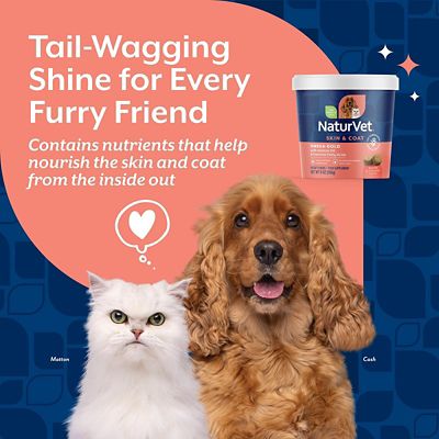 Image showing  Omega Gold Plus Salmon Oil Supplement Soft Chews for Dogs