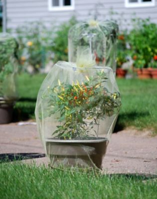 Image showing  42 in. Galvanized Tomato Cage