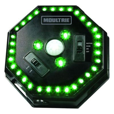 Moultrie Game Feeder Hog Light, 35 LEDs