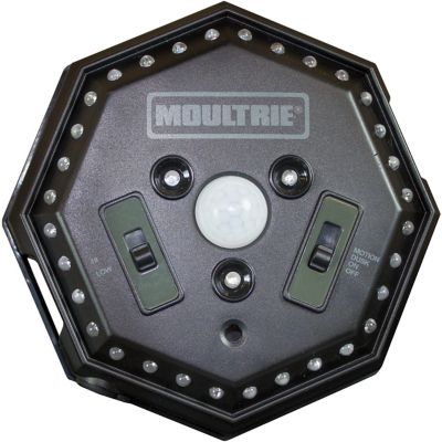 Image showing  Game Feeder Hog Light, 35 LEDs