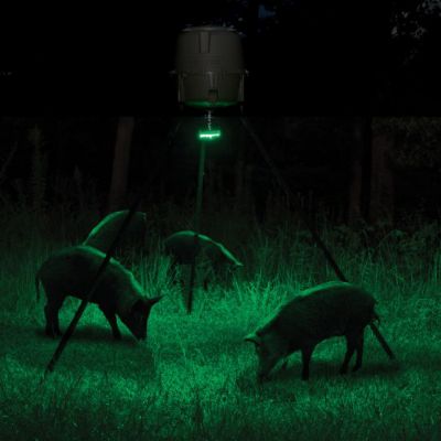 Image showing  Game Feeder Hog Light, 35 LEDs