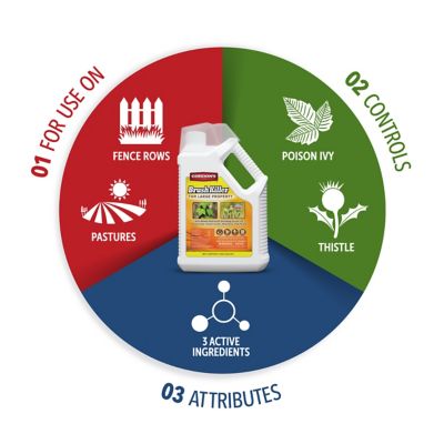 Image showing  1 gal. Brush Killer for Large Property