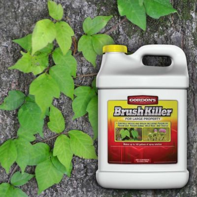 Image showing  2.5 gal. Brush Killer for Large Property