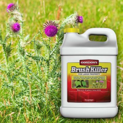 Image showing  2.5 gal. Brush Killer for Large Property