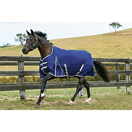 WeatherBeeta ComFiTec Essential Horse Sheet with Standard Neck, Heavyweight