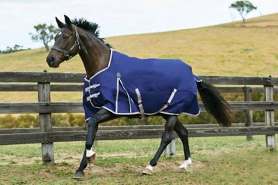 WeatherBeeta ComFiTec Essential Horse Blanket with Standard Neck Neck Heavy