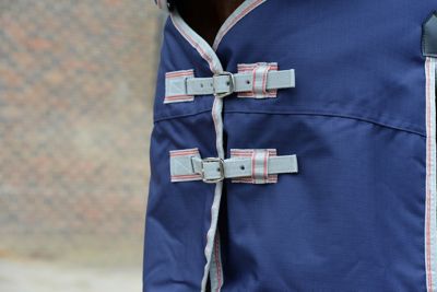 Image showing  ComFiTec Essential 220g/1200D Polyester Mediumweight Horse Blanket with Standard Neck