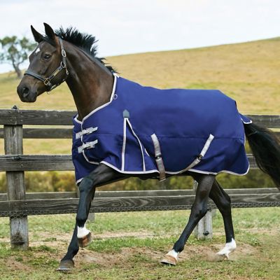 Image showing  ComFiTec Essential 220g/1200D Polyester Mediumweight Horse Blanket with Standard Neck