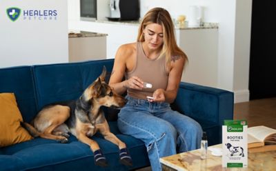 Image showing  Medical Dog Boots, 2-Pack