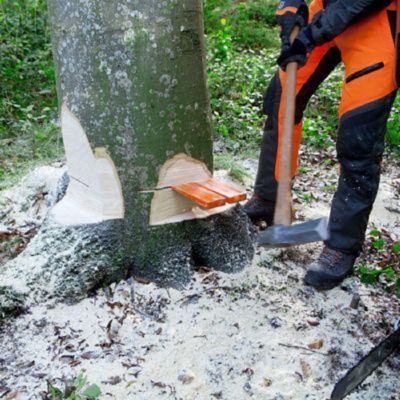 Husqvarna 5.5 in. Tree Felling Wedge at Tractor Supply Co.