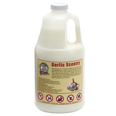 Just Scentsational 64 oz. Garlic Scentry Repellent